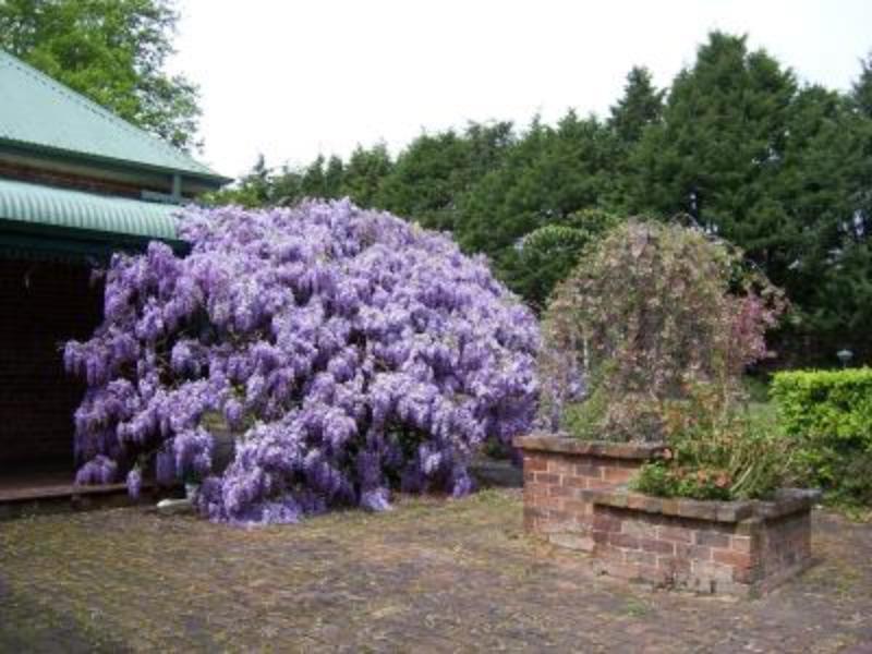 Heronswood House B & B Moss Vale Zewnętrze zdjęcie